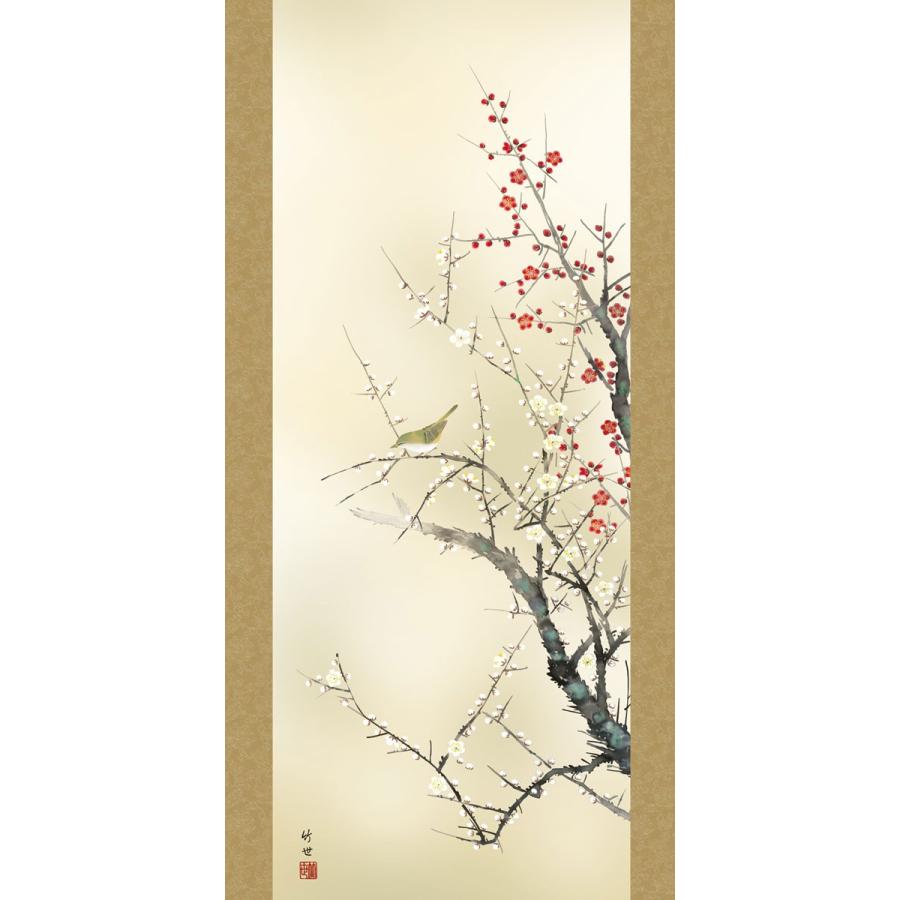 掛軸 (掛け軸) 春用 四季奏歓 紅白梅に鶯 田村竹世 尺五立 約横54.5cm