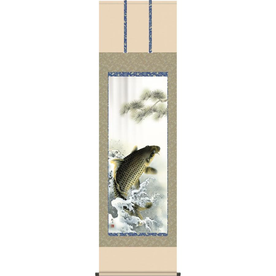 端午の節句掛軸 (掛け軸) 森山観月 大昇鯉 尺五立 約横54.5×縦190cm g4764 端午の節句 初節句 子供の日 こいのぼり 鯉のぼり 昇鯉 登竜門 開運 縁起