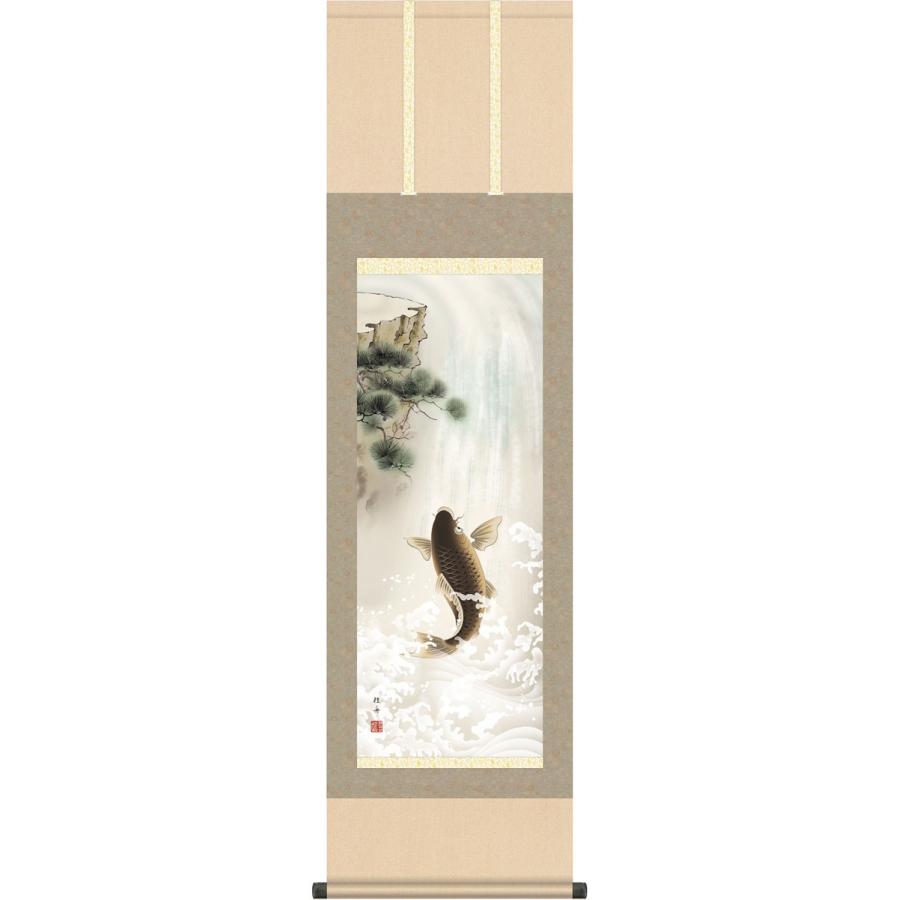 端午の節句掛軸 (掛け軸) 昇鯉 長江桂舟 （尺三立）約横45×縦164cm g4768 端午の節句 初節句 子供の日 こいのぼり 鯉のぼり 昇鯉 登竜門 開運 縁起