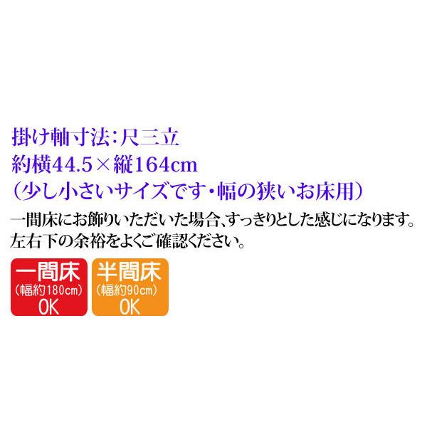 掛軸 (掛け軸) 天照皇大神 吉田清悠 尺三立 約横44.5&times;縦164cm g4861 KZ2ME2-049 神事 お正月 正月 新年 御神號 御神号 伊勢神宮 天照大神 天照大御神