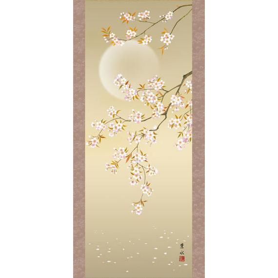 掛軸 (掛け軸) 春用 夜桜 緒方葉水 尺三立 約横44.5×縦164cm g6044