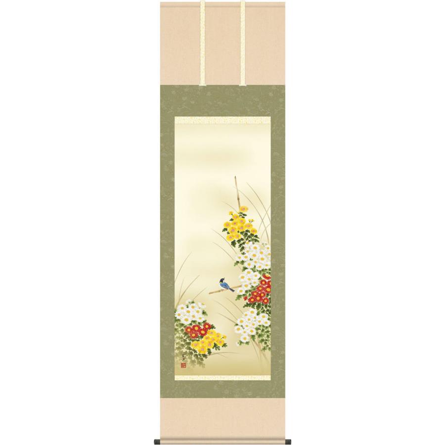掛軸 (掛け軸) 秋用 菊花 近藤玄洋 尺五立 約横54.5cm×縦190cm g6057