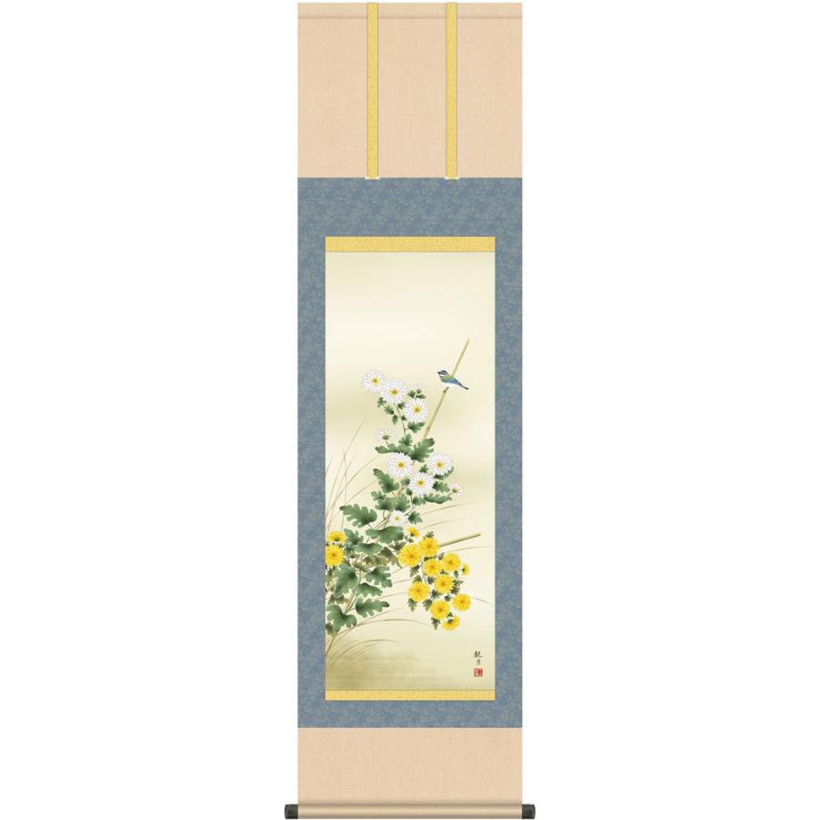 掛軸 (掛け軸) 秋用 菊花 森山観月 尺三立 約横44.5cm×縦164cm g6063 KZ3MA4-154 秋 秋掛 秋掛け 花鳥 菊 お祝い 御祝 贈答 贈り物
