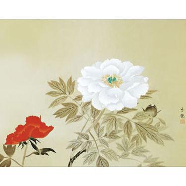 掛軸 (掛け軸) 牡丹 小林古径 尺五横 約横54.5cm×縦113cm g6232 KZ3G9