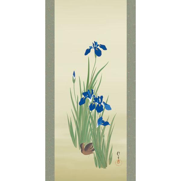 掛軸 (掛け軸) 燕子花に水鶏図 酒井抱一 尺五立 約横54.5cm×縦