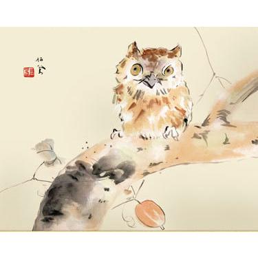 掛軸 (掛け軸) みゝづく 竹内栖鳳 尺五横 約横54.5cm×縦113cm g6251