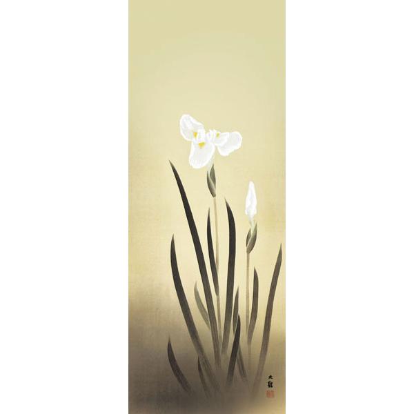 掛軸 (掛け軸) 菖蒲 横山大観 尺五立 約横54.5cm×縦190cm g7002