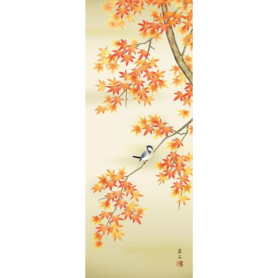 掛軸 (掛け軸) 秋用 紅葉に小鳥 高見蘭石 尺三立 約横44.5cm×縦
