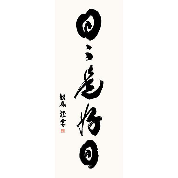 掛軸 (掛け軸) 日々是好日 浅田観風 尺五立 約横54.5×縦190cm 掛軸 (掛け軸) 日々是好日 浅田観風 尺五立 約横54.5×縦190cm