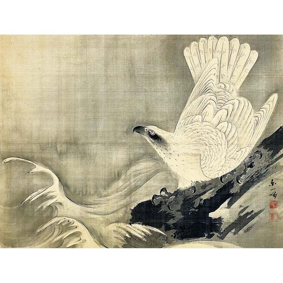 円山応挙 白鷹図 （F4サイズ）（紐・フック付） 日本の名画 約横42×縦