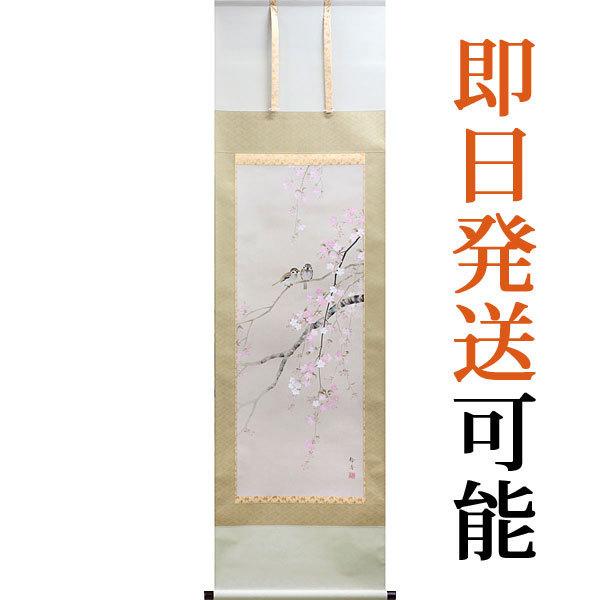 掛軸 (掛け軸) 春用 桜に小禽 北条静香 尺五立 約横54.5cm×縦190cm