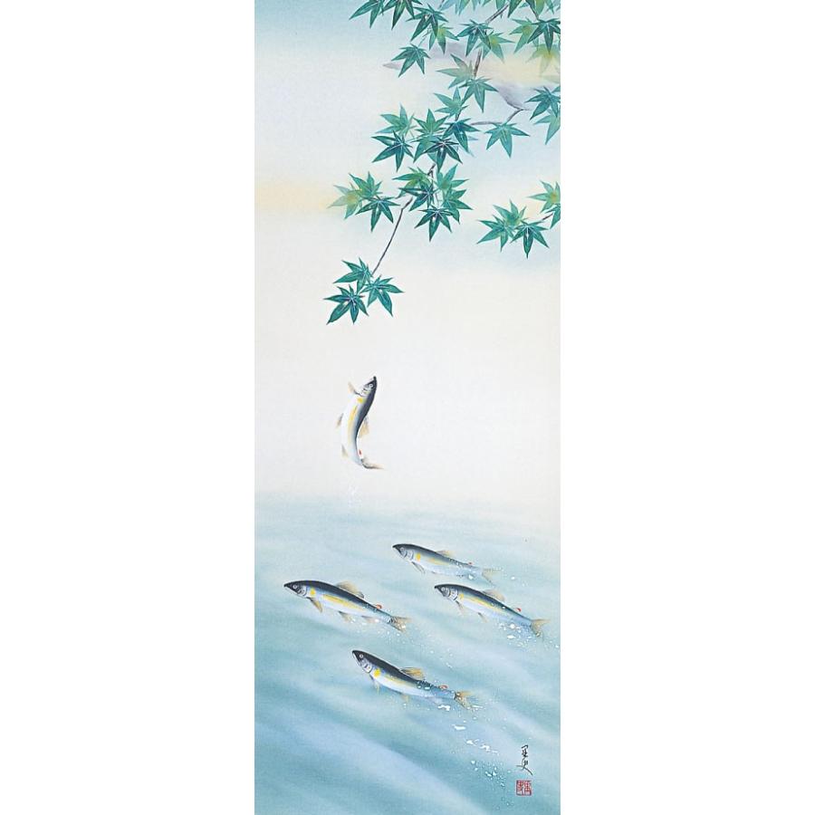 掛軸 (掛け軸) 夏用 登り鮎 荒川里史 尺五立 約横54.5cm×縦190cm p9648 夏 夏掛 夏掛け 花鳥 あゆ アユ 贈答 贈り物の画像