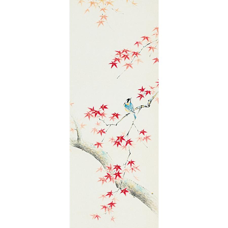 掛軸 (掛け軸) 秋用 紅葉に小禽 佐藤桂三 半切立 約横47cm×縦190cm p9651 秋 秋掛 秋掛け 花鳥 もみじ お祝い 御祝 贈答 贈り物の画像