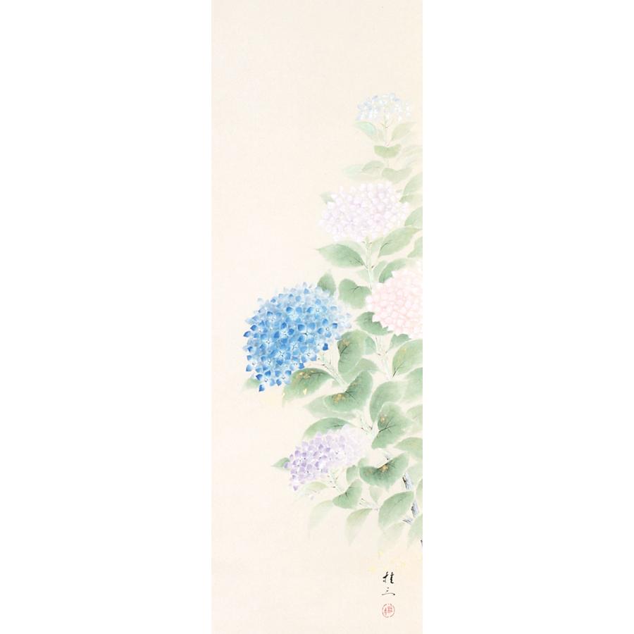 掛軸 (掛け軸) 夏用 紫陽花 佐藤桂三 半切立 約横47cm×縦190cm p9744 夏 夏掛 夏掛け 花鳥 あじさい 贈答 贈り物の画像