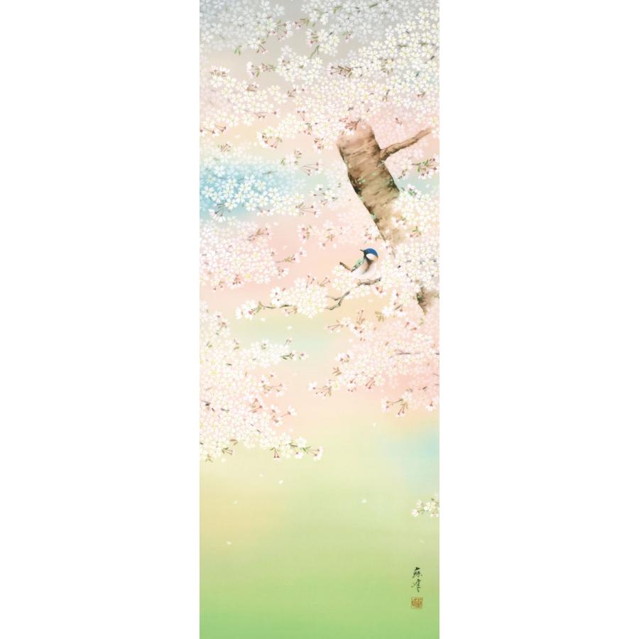 掛軸 (掛け軸) 春用 桜花爛漫 富岡蘇峰 尺五立 約横54.5cm×縦