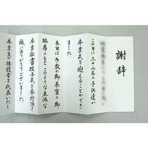 式辞 祝辞 弔辞 謝辞など 原稿用紙1枚 400字 Sk0101 結納屋さん 通販 Yahoo ショッピング