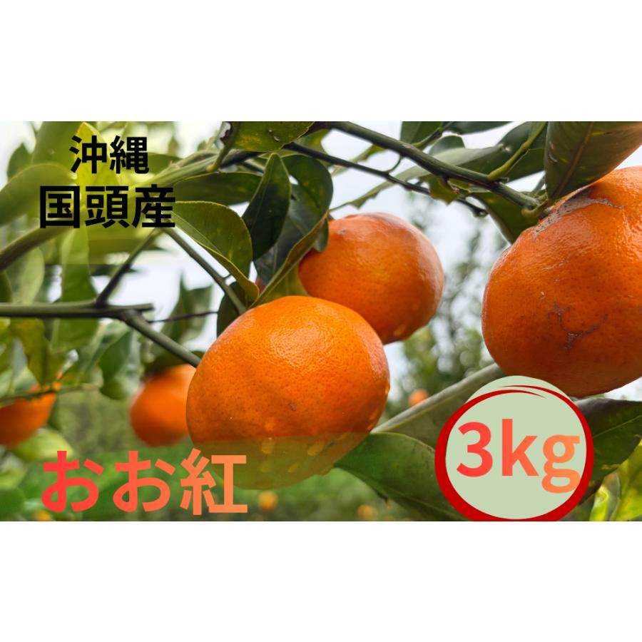 【2026年12月下旬〜】国頭産おおべに3kg | 