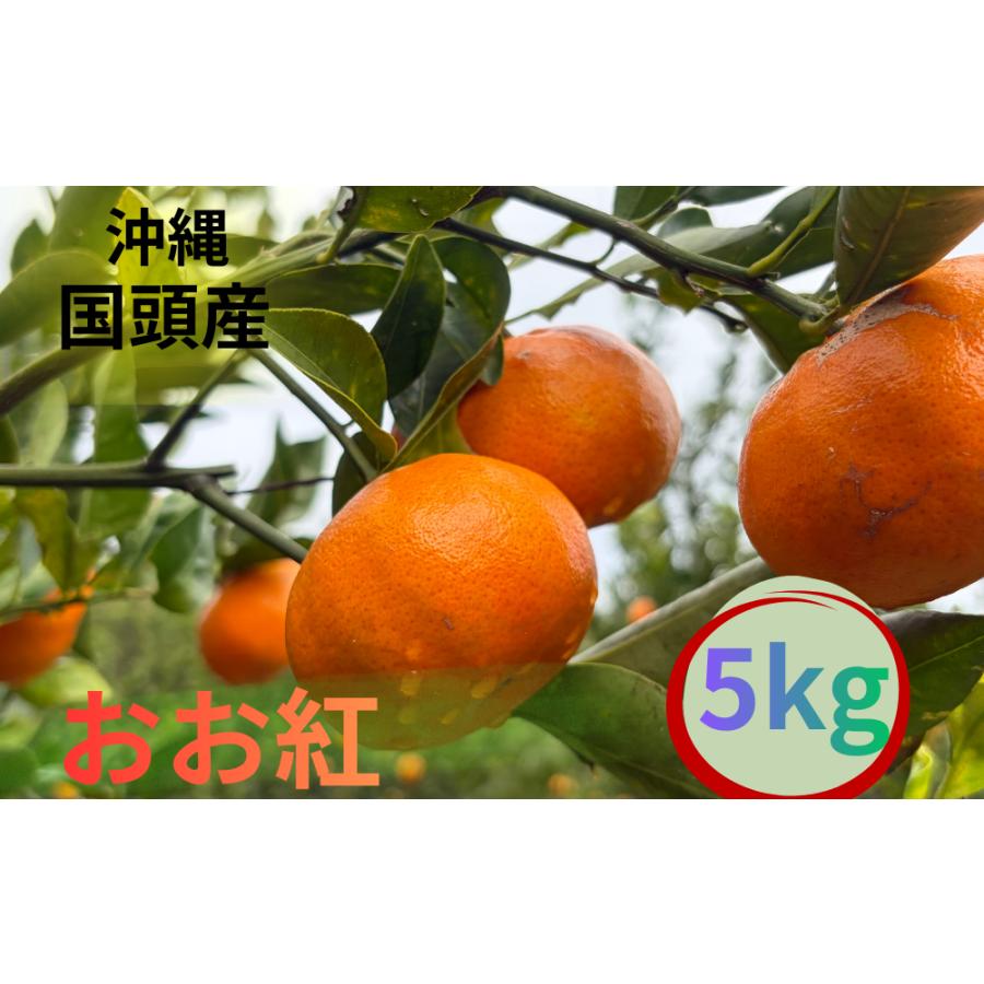 【2027年12月下旬〜】国頭産おおべに5kg | 