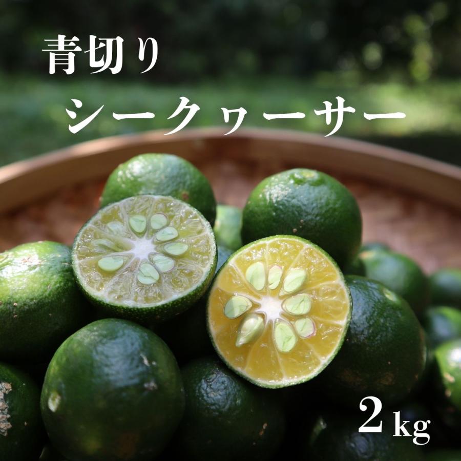 2025年9月頃出荷】沖縄県産 産地直送 青切りシークワーサー2kg : 道の