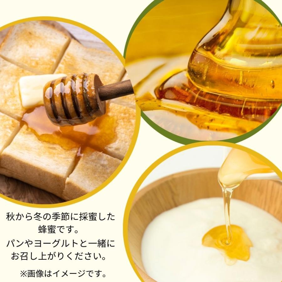 国産非加熱 やまぐちさん家の純粋はちみつ250g ボトルタイプ |  | 01