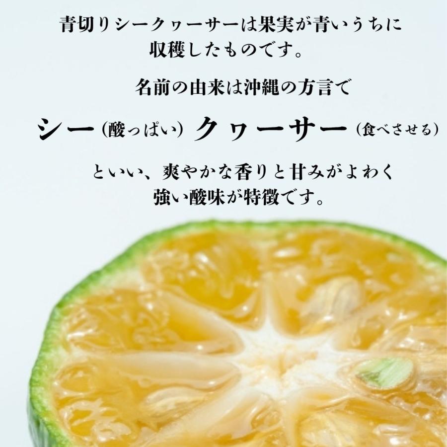 2025年9月頃出荷】沖縄県産 産地直送 青切りシークワーサー2kg : 道の