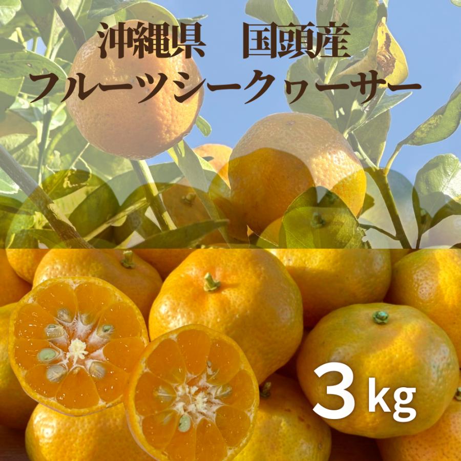 2027年1月頃〜：フルーツシークワーサー3kg | 