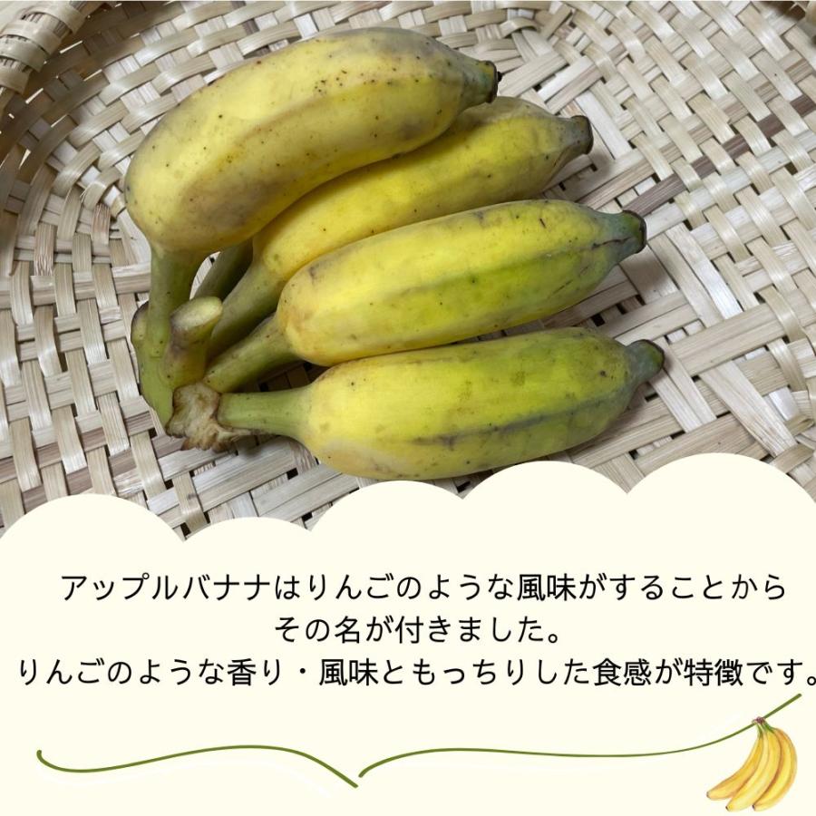 ジャパンフード・セレクショングランプリ受賞 アップルバナナたると (10個入×１箱) |  | 01