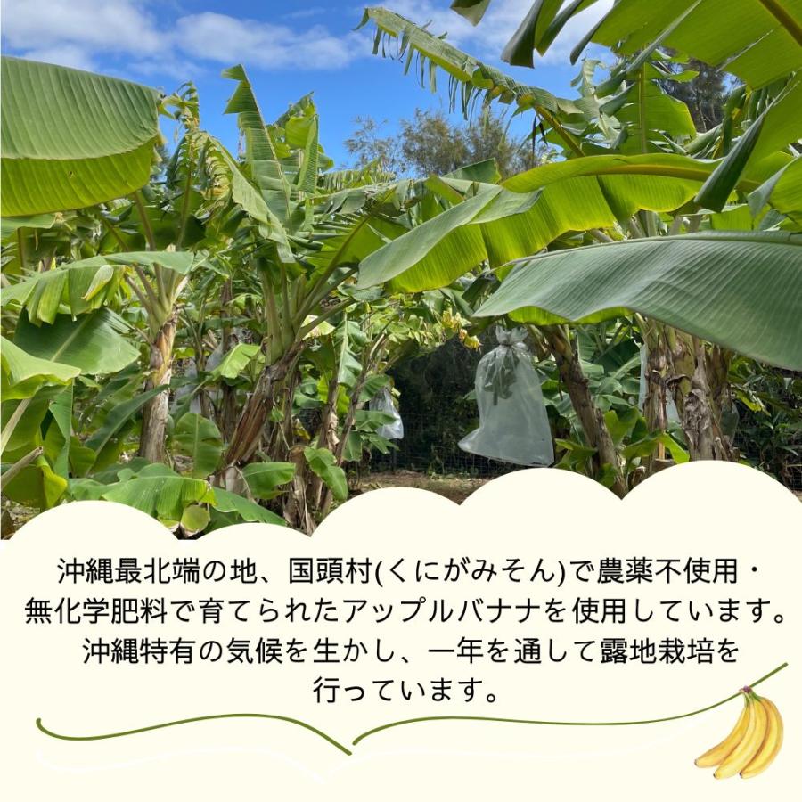 ジャパンフード・セレクショングランプリ受賞 アップルバナナたると (10個入×１箱) |  | 04