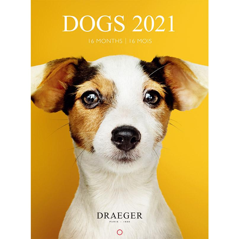 ドレジャー 21年 スモールカレンダー Dogs 壁掛けタイプ 犬 動物 かわいい 写真 月曜始まり フランス製 中国印刷 21sc 003 ユージニアyh 通販 Yahoo ショッピング