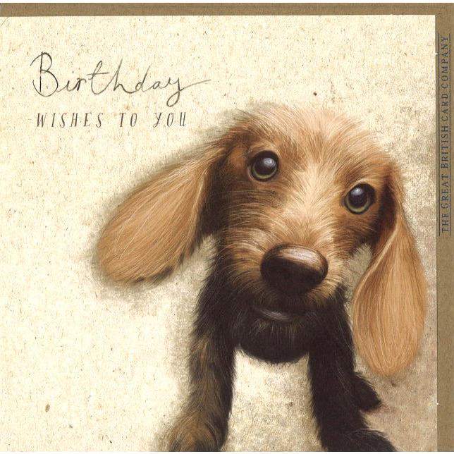 グリーティングカード 誕生日 犬 動物 メッセージカード イラスト