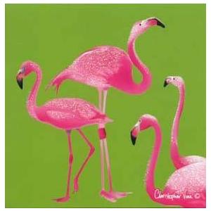 ミニカード クリストファーヴァインデザイン フラミンゴ おしゃれ メッセージカード ギフト 贈り物 手紙 封筒付き Ccmn071 ユージニアyh 通販 Yahoo ショッピング