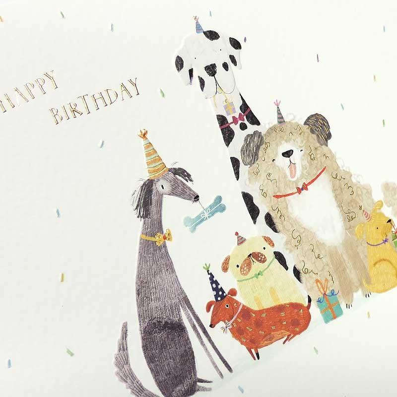 グリーティングカード 誕生日 バースデー Happy Birthday メッセージカード 犬 イヌ 動物 ホワイト おしゃれ 輸入雑貨 Cise1094 ユージニアyh 通販 Yahoo ショッピング