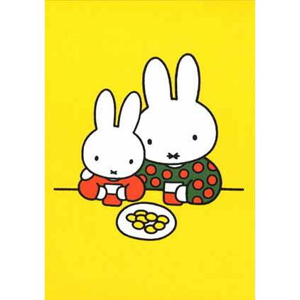 ポストカード イラスト ミッフィー ディック ブルーナ ミッフィーとミッフィーパパ 絵本 キャラクター コレクション 動物 かわいい 1dish