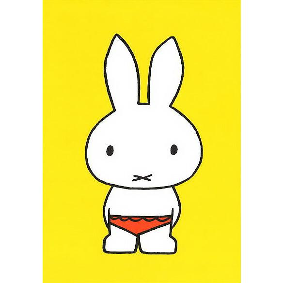 ポストカード イラスト ミッフィー ディック ブルーナ 下着姿のミッフィー 絵本 キャラクター コレクション イエロー 黄 かわいい Db051 ユージニアyh 通販 Yahoo ショッピング