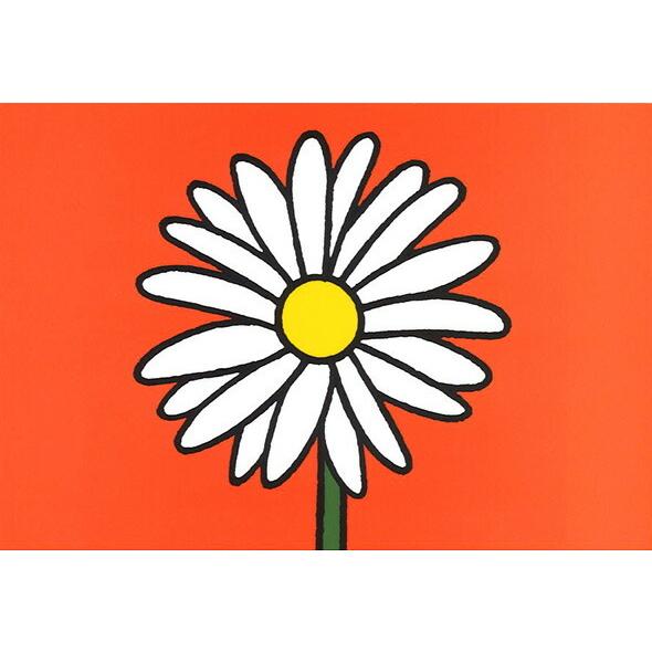 ポストカード イラスト ミッフィー ディック ブルーナ マーガレット 絵本 キャラクター コレクション 白い花 フラワー 植物 かわいい Db274 ユージニアyh 通販 Yahoo ショッピング