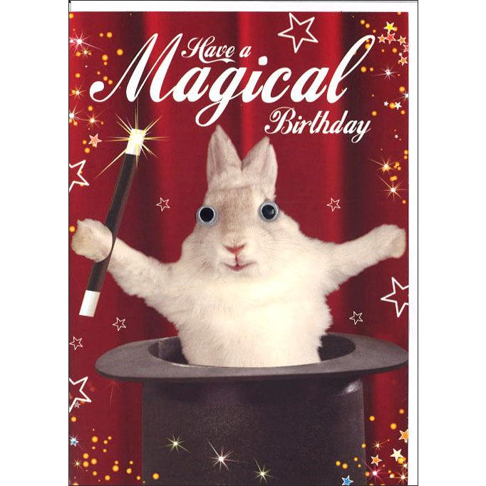グリーティングカード 誕生日/バースデー ゴグリーズ目玉カード「ウサギ」動物 カラー写真 メッセージカード 封筒付き 輸入雑貨  :H262:ユージニアyh - 通販 - Yahoo!ショッピング