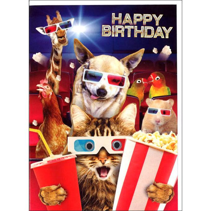 グリーティングカード 誕生日 バースデー ゴグリーズ目玉カード 猫と犬 動物 カラー写真 メッセージカード 封筒付き 輸入雑貨 H271 ユージニアyh 通販 Yahoo ショッピング