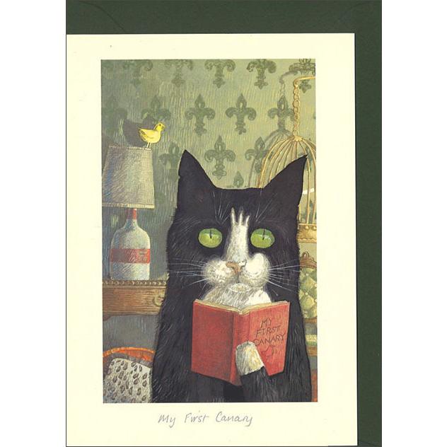 グリーティングカード 多目的 僕が初めて飼ったカナリア かわいい イラスト メッセージカード ギフト 贈り物 手紙 封筒付き Ia2 ユージニアyh 通販 Yahoo ショッピング