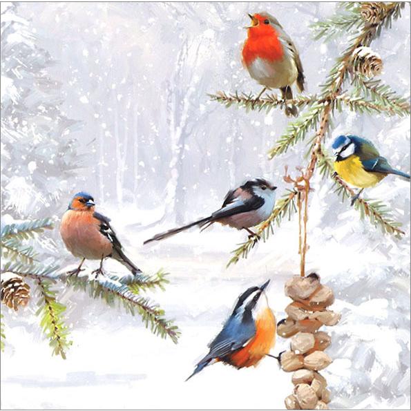 グリーティングカード クリスマスカード 5匹の鳥たち メッセージカード｜yujinia-yh