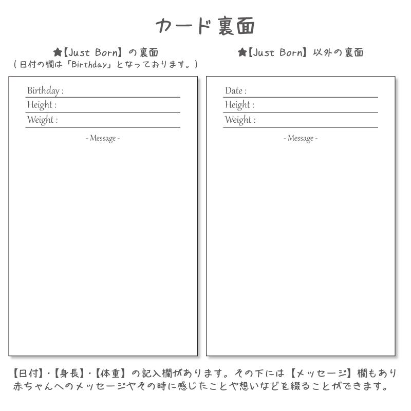 インスタ用ベビーマンスリーカード PINK PATTERNS 月齢カード 赤ちゃん