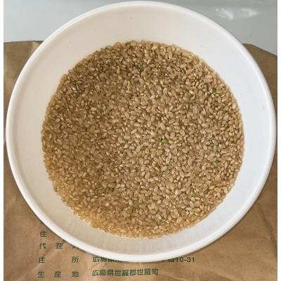 広島産 コシヒカリ 15kg R7年産 令和7年】広島県産コシヒカリ5㎏：広島