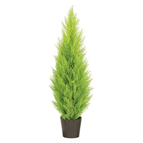 高知インター店 人工観葉植物 ゴールドクレスト90ｃｍ 屋外使用可 超大特価 Www Foroactua Com