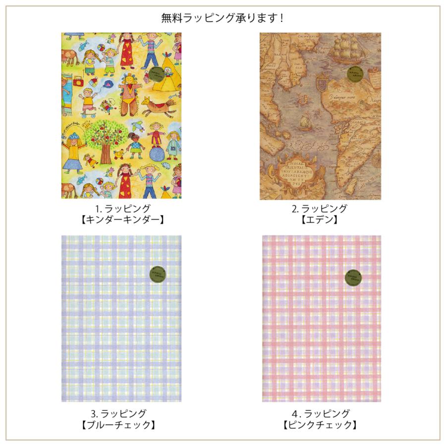 プリズモパーツ(大) 透明 7色 保育園 幼稚園 施設向き ドイツ デュシマ