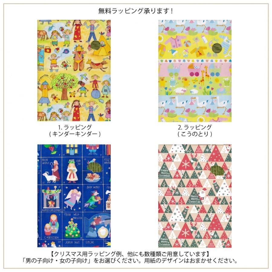 ステッチカードセット 針・糸付き ドイツForia(フォリア) 刺繍あそび