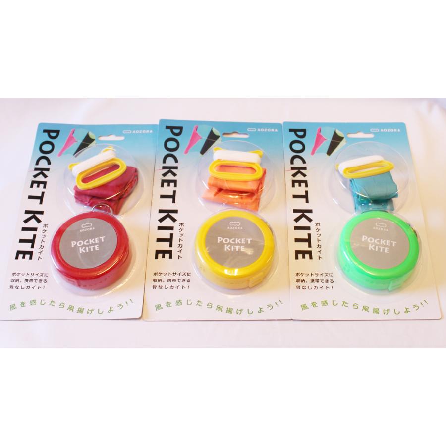 ポケットカイト(POCKET KITE) AOZORA 凧 収納ケース付き 携帯に便利 4571397651022 ゆかいなさかな