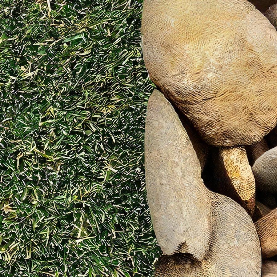 人工芝 リアリーターフ R6 スタンダードクラス ミドル+ ミドルプラス