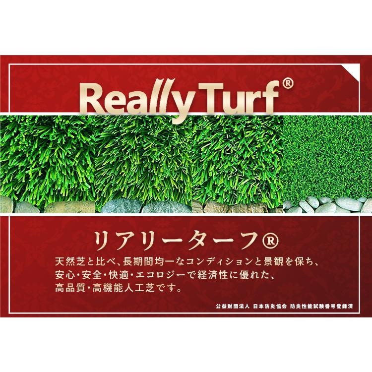 人工芝 リアリーターフ R6 スタンダードクラス ミドル+ ミドルプラス