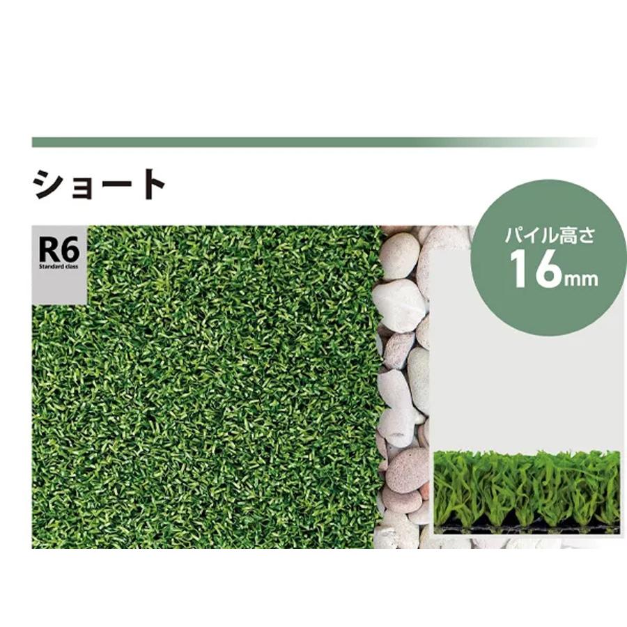 カットサンプル) 人工芝 リアリーターフ R6 スタンダードクラス