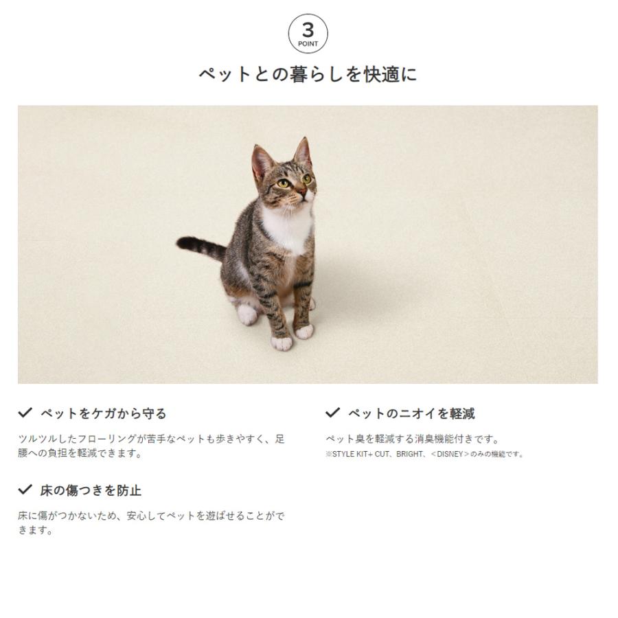 (カットサンプル) ペット対応 住宅用タイルカーペット ループパイル 選べる13カラー サンゲツ スタイルキットプラス （10cm正方形程度） | サンゲツ | 22