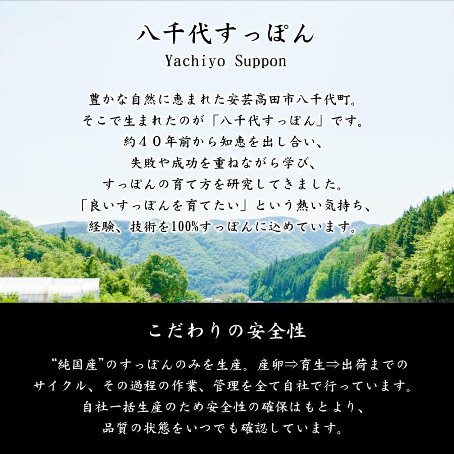 ギフト 八千代 すっぽん鍋 セット2〜3人前分 ギフト なべ オススメ鍋 すっぽん料理 スッポン セット 鍋セット 高級 コラーゲン お取り寄せ｜yukariya-enya｜03